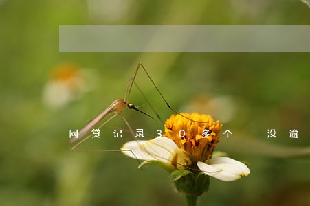 网贷记录30多个 没逾期
